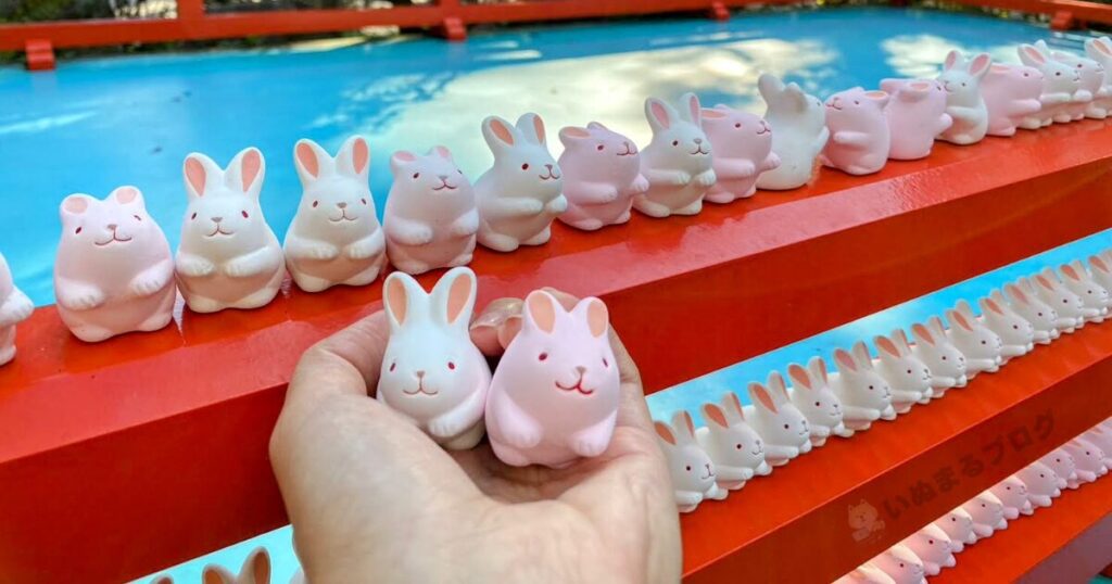 岡﨑神社の境内には、たくさんの「うさぎみくじ守り」が並べてありました!