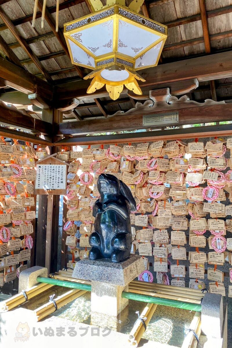 岡﨑神社の境内の手水舎には黒御影石でできた子授けうさぎ像がある