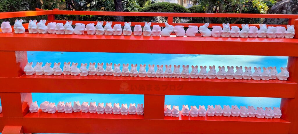 岡﨑神社の境内には、たくさんの「うさぎみくじ守り」が並べてありました!