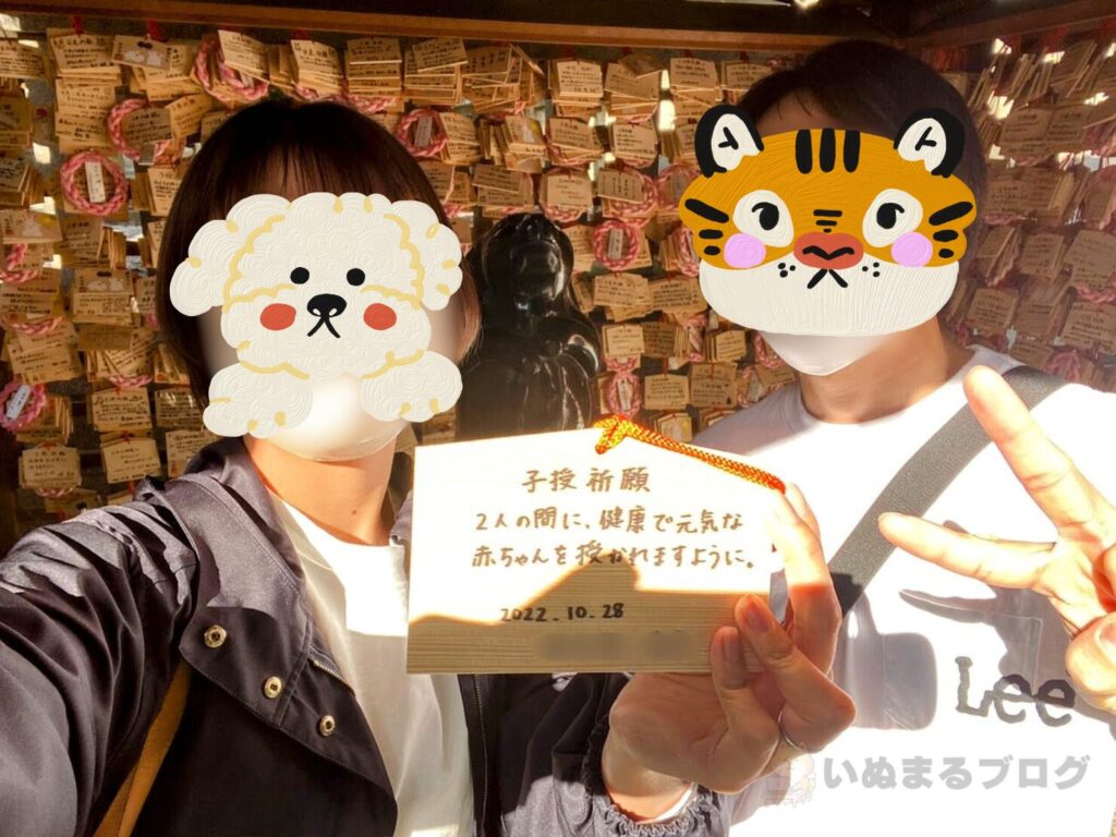 岡﨑神社のうさぎ絵馬(裏面)に子授祈願を書いたところ